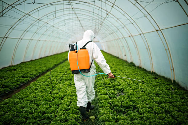 Best Pest Inspection Near Me  in Lake St Croix Beach, MN
