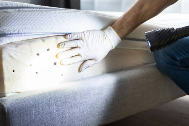 Best Pest Removal Services  in Lake St Croix Beach, MN