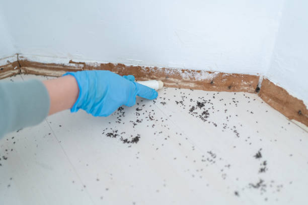 Best Affordable Pest Control Services  in Lake St Croix Beach, MN
